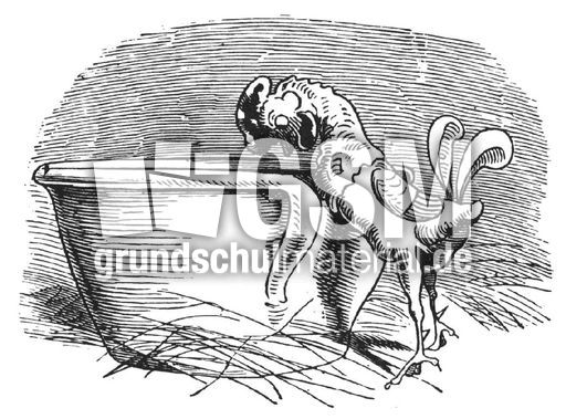 Hahnenkampf sw 01.jpg